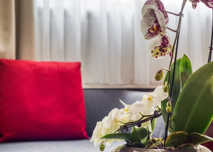 Hotel Le Richemont 3*